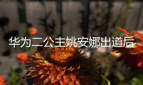 华为后 华为相关抢注安娜出道主姚已被二公商标