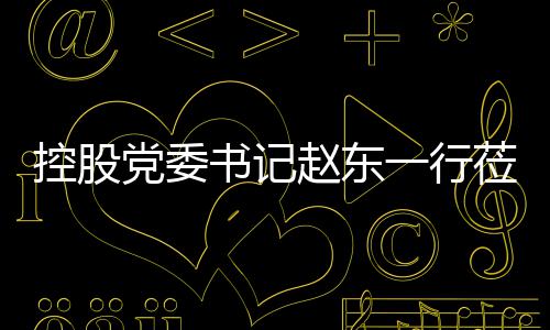 环境党委工作莅临赵东指导控股一行书记